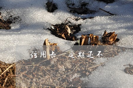 信用卡 逾期还不 信用卡 逾期还不
